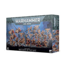 Warhammer 40k: Adeptus Custodes, Watchers of the Gate