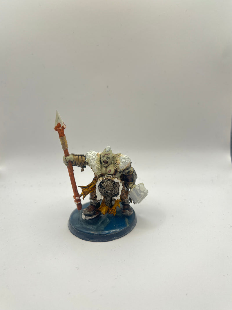 Warhammer Age Of Sigmar: Ogre Mawtribes Tyrant Converted (AC031)