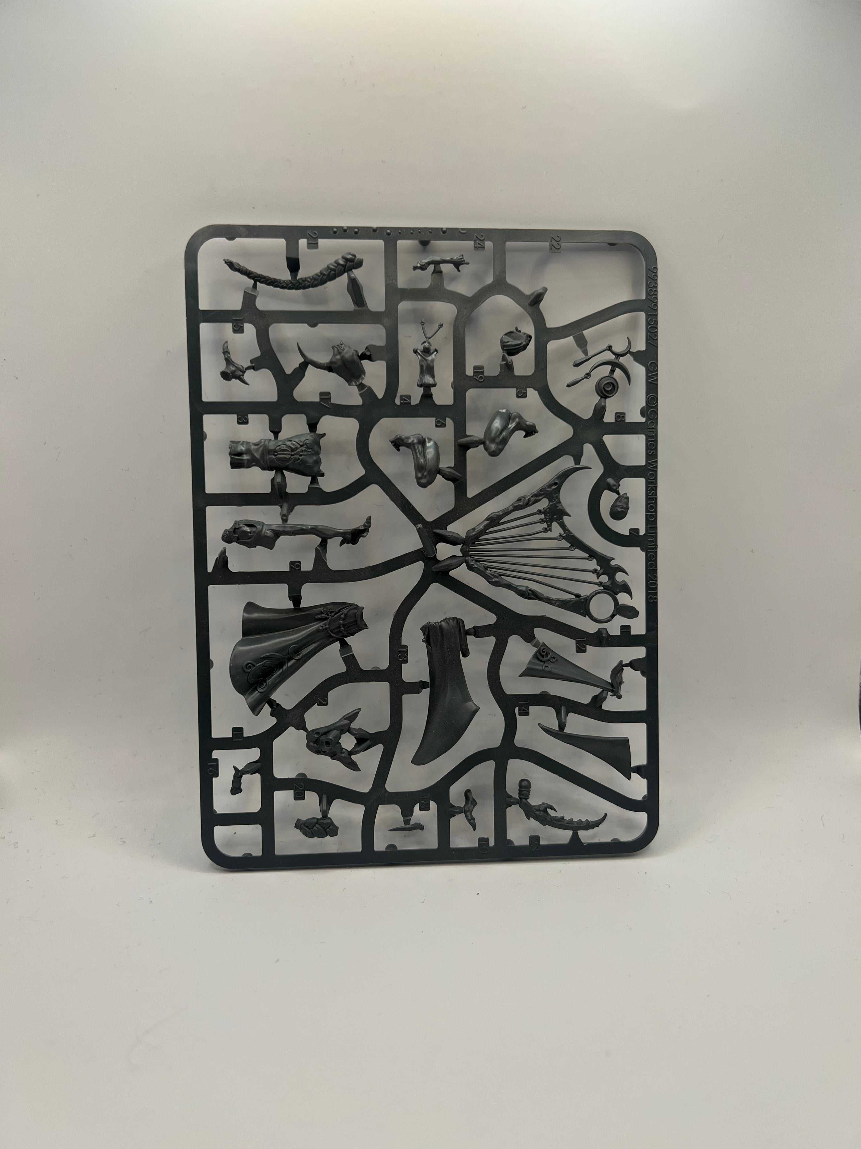 Warhammer Age of Sigmar Infernal Enrapturess  (BA109)