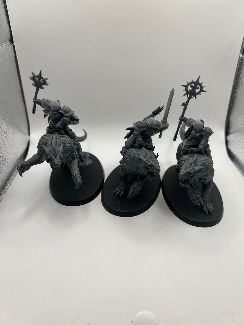 Warhammer Age Of Sigmar Stormcast Eternals Evocators on Celestial Dracolines   (AX028)