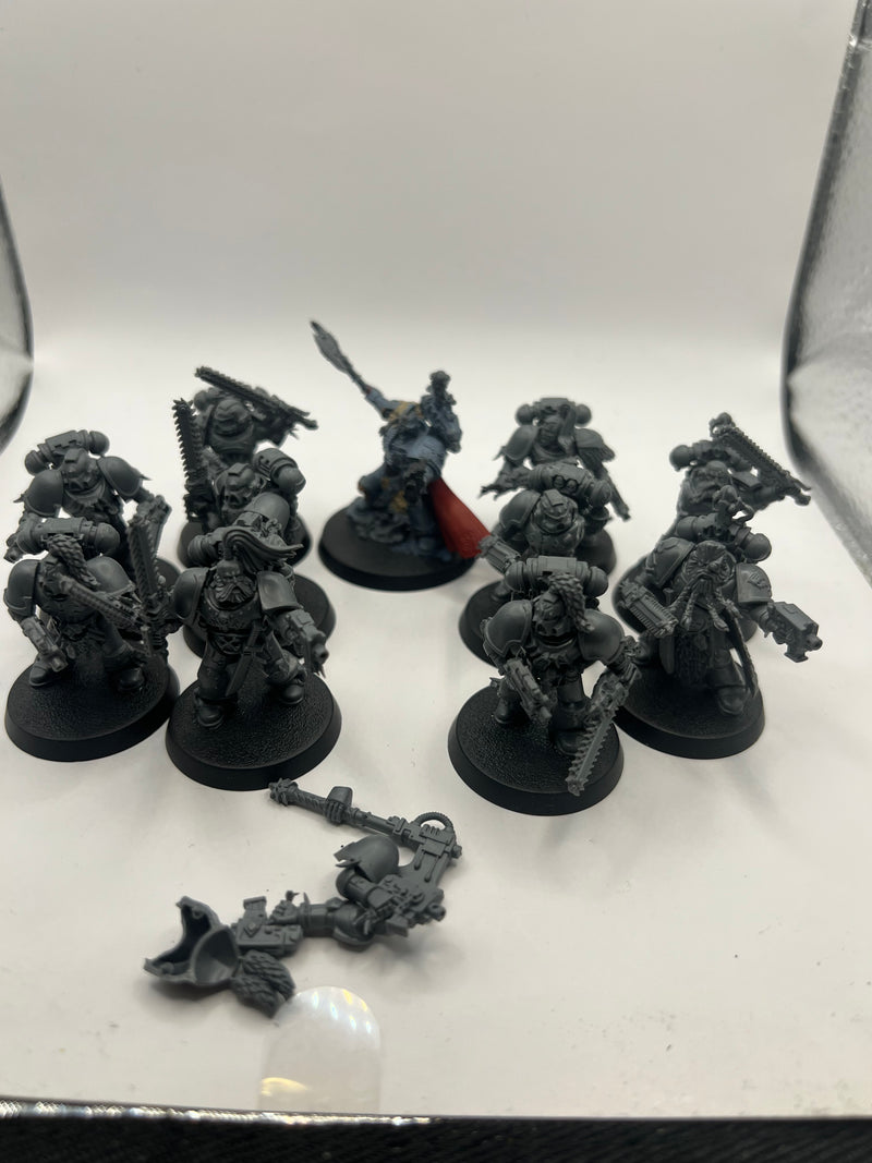 Warhammer Space Wolves Wolf Lord Krom plus Blood Claws (AA092)