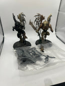 Warhammer Age of Sigmar Morghast Harbingers  (AA089)