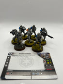Star Wars Legion Storm Troopers (BC155)