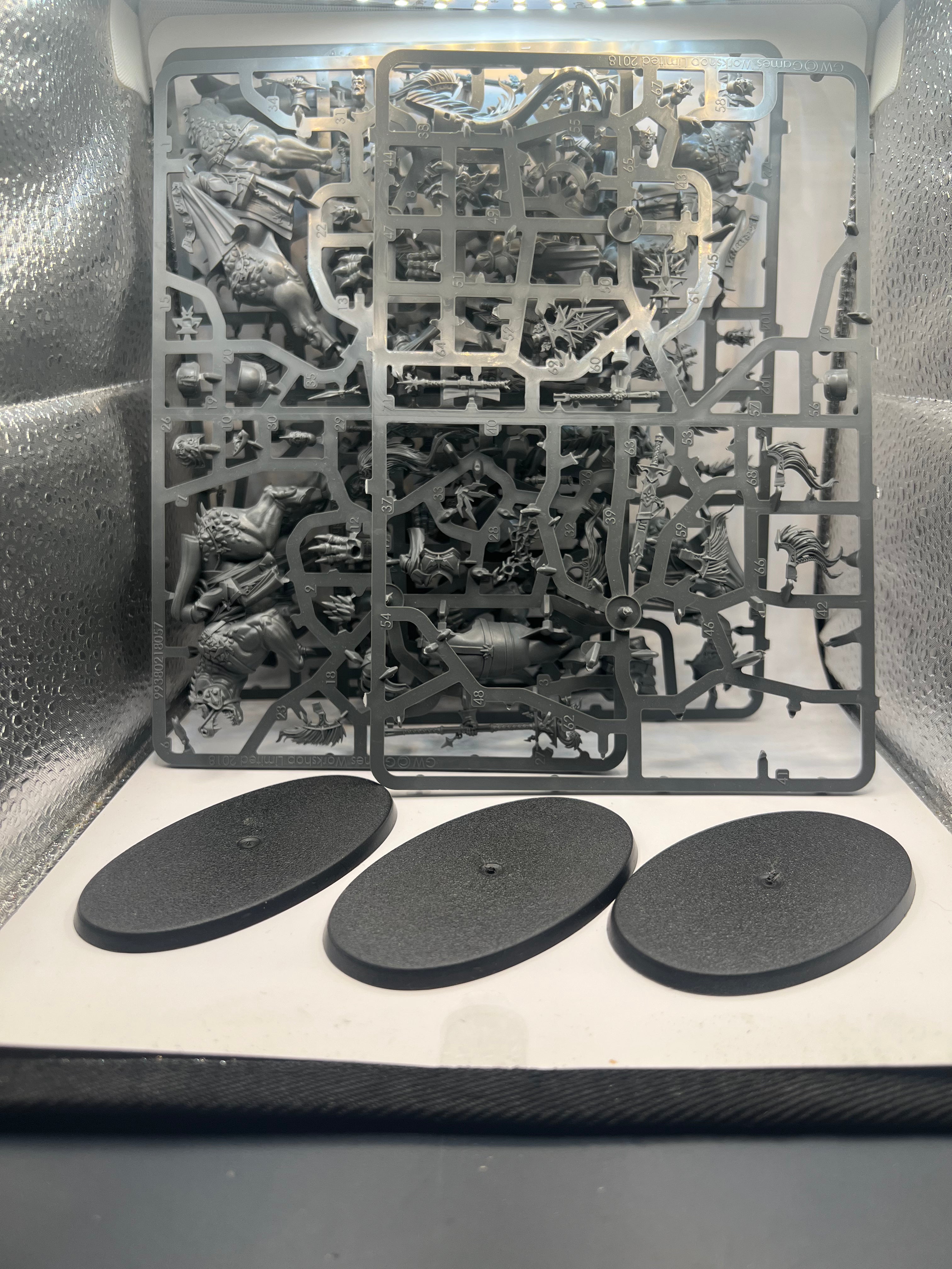 Warhammer Age of sigmar Stormcast Eternals Evocators on Celestial Dracolines (AX043)