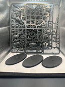 Warhammer Age of sigmar Stormcast Eternals Evocators on Celestial Dracolines (AX043)