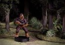 Star Wars Legion: Chewbacca Operative Expansion